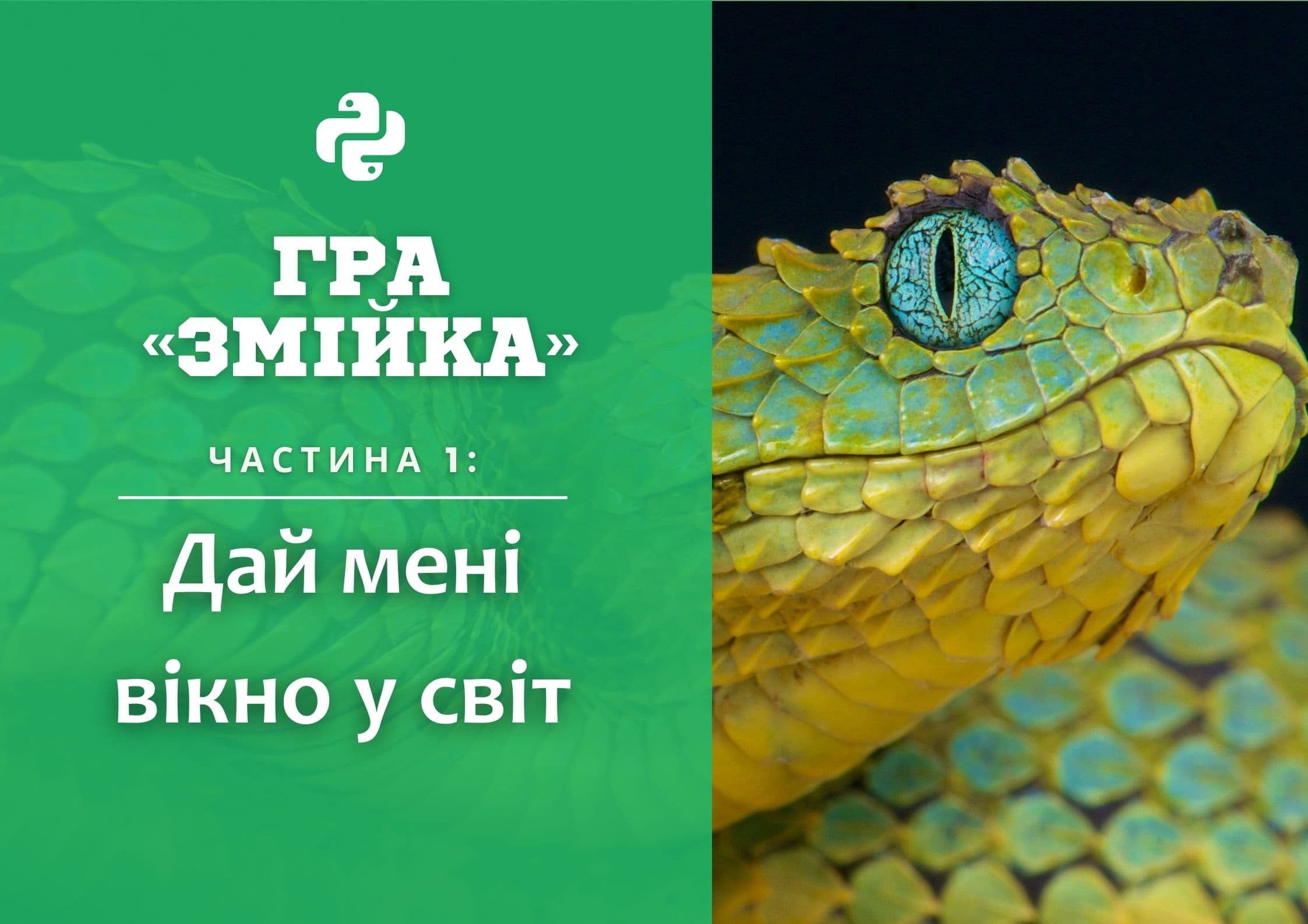 Гра «Змійка», частина 1: Дай мені вікно у світ