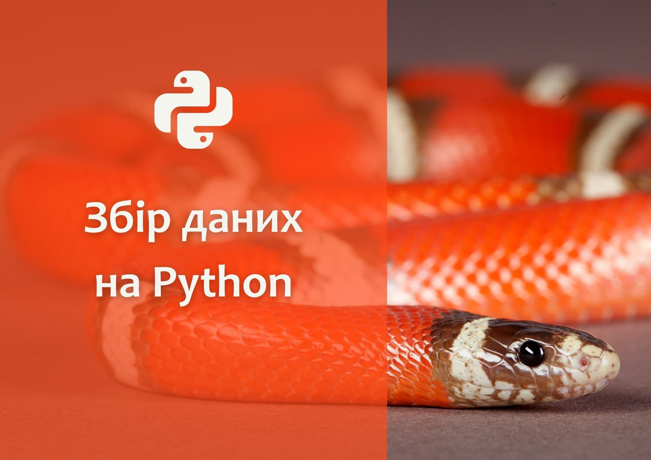 Збір даних на Python