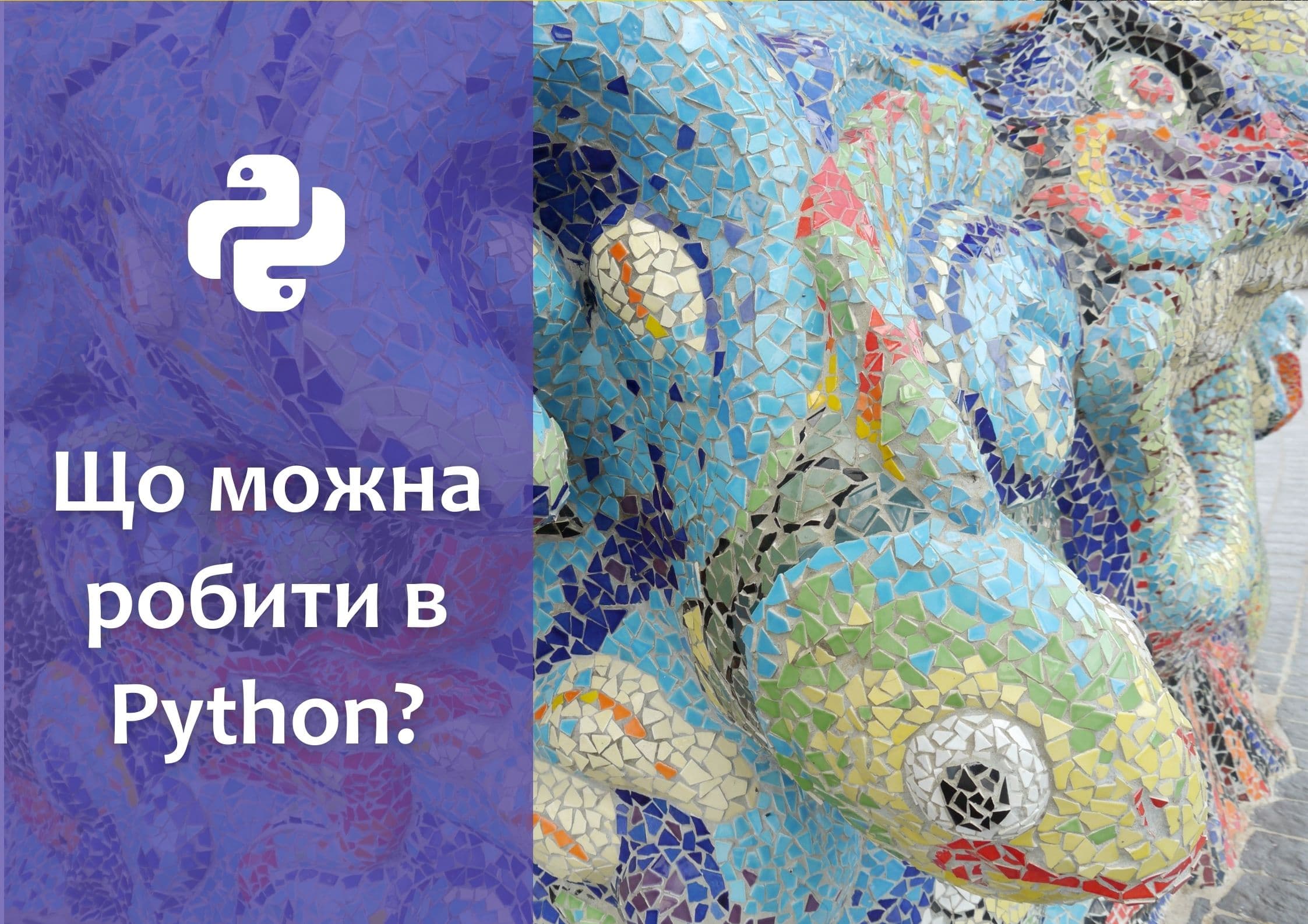 Що можна робити в Python?